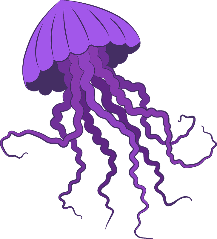 Jellyfish No Background