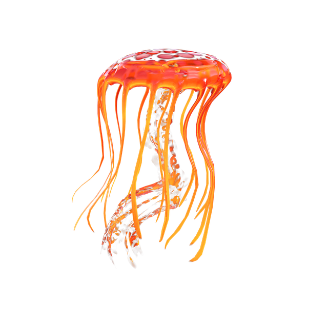 Jellyfish PNG Image HD