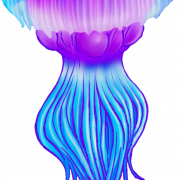 Медуза PNG Pic