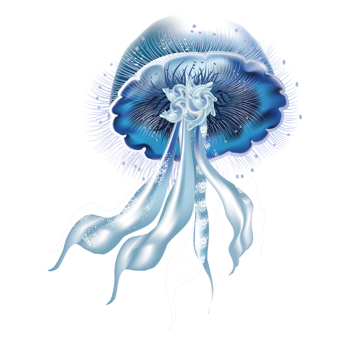 Медуза PNG Picture