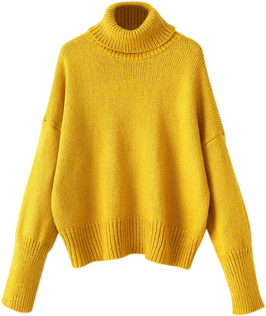 Jumper -Pullover PNG Clipart