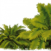 Forest PNG Forest Png