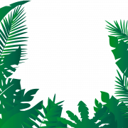 Jungle Forest PNG HD Image