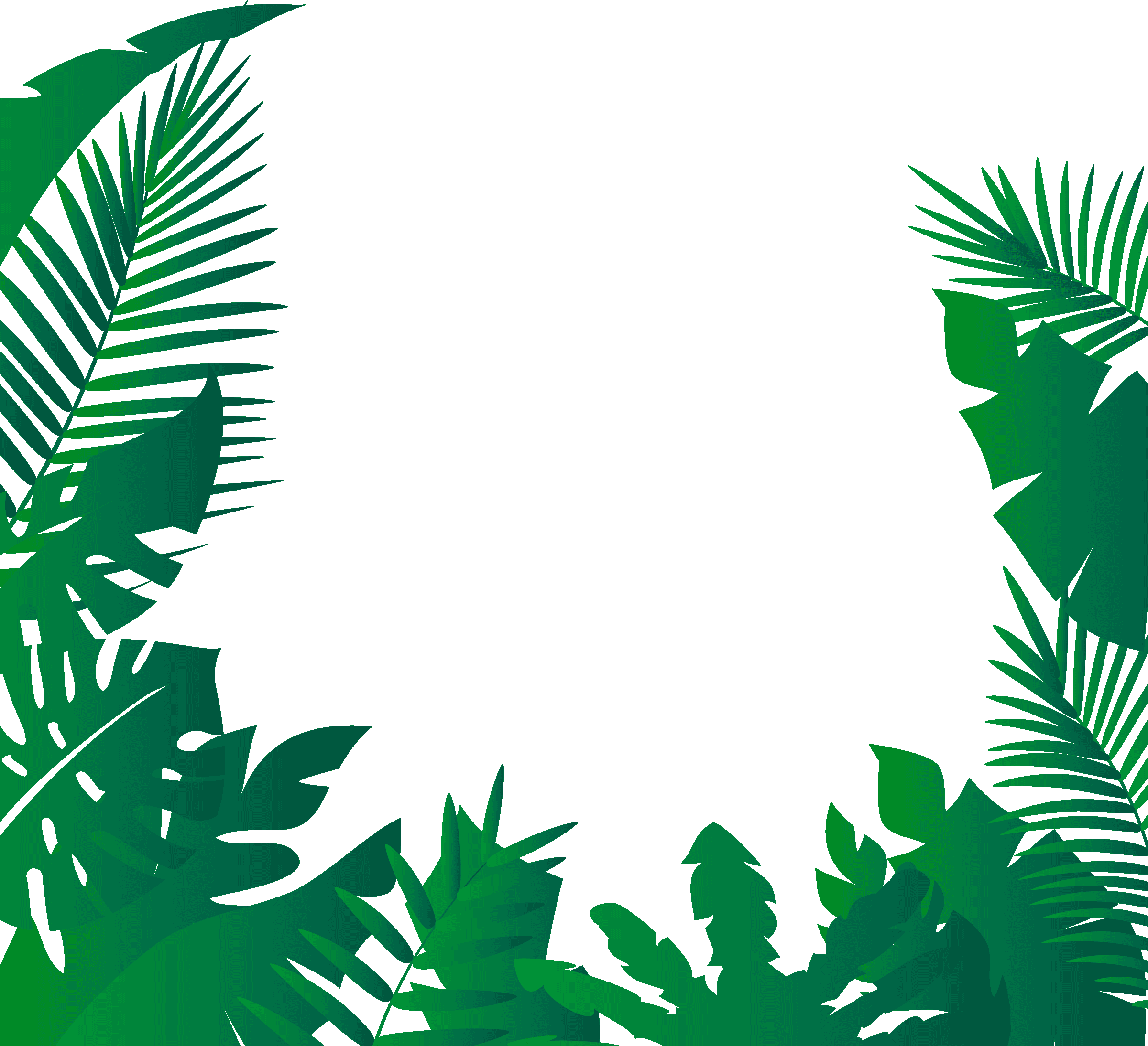 Jungle Forest PNG HD Image