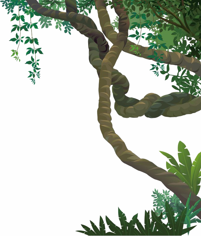 Jungle Forest PNG Image HD