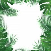 Image PNG de bordure de cadre à feuilles