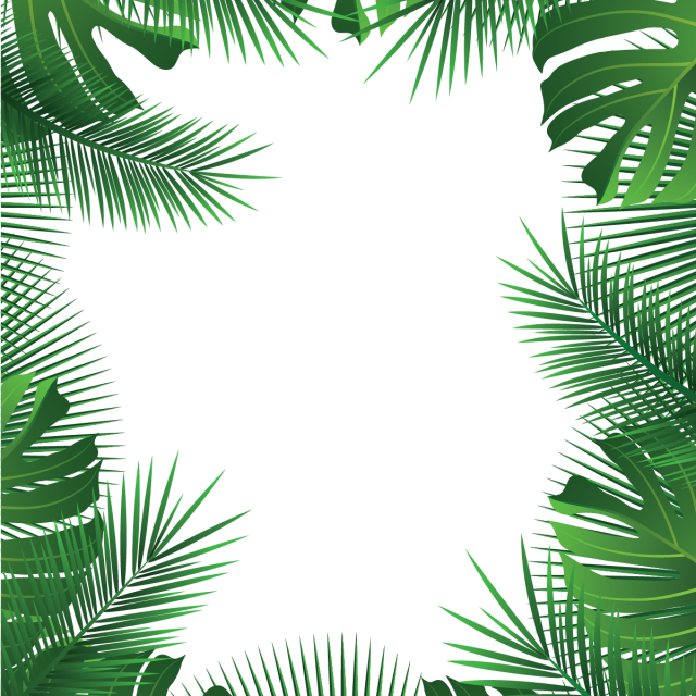 Leaf Frame Border PNG Image