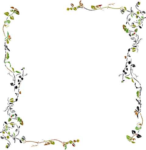 Leaf Frame Border PNG Images