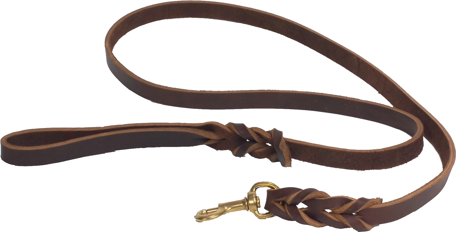 Leash PNG Picture