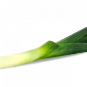 Leek PNG Picture