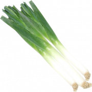 Leek Vegetable PNG