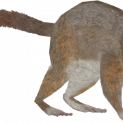 Lemur без фона