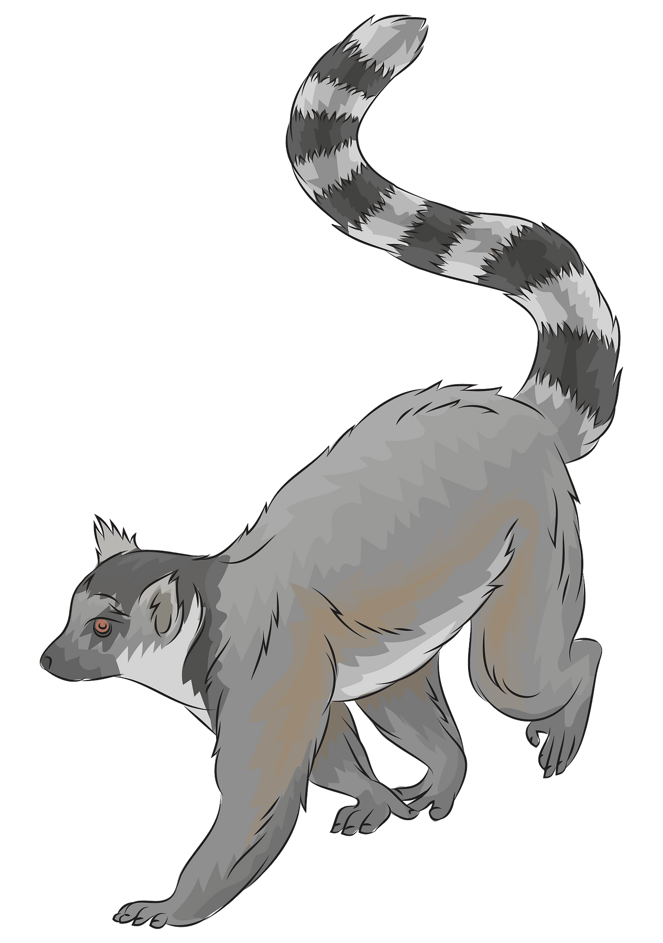Lemur PNG Image File