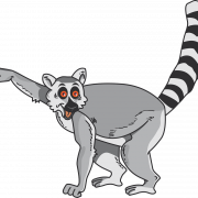Lemur Vector Png фото