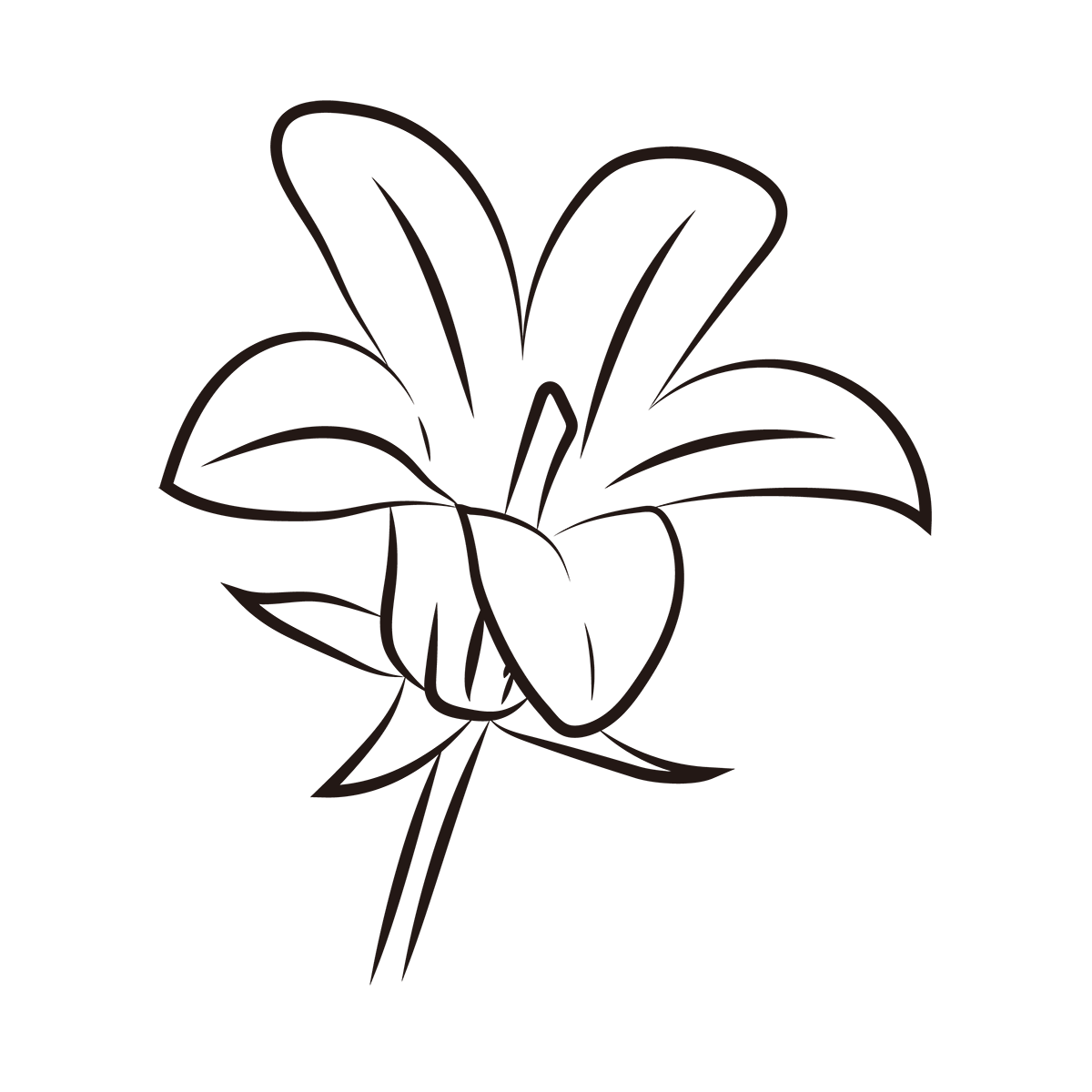 Lily Flower PNG Pic