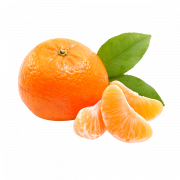 Clipart png oranye mandarin