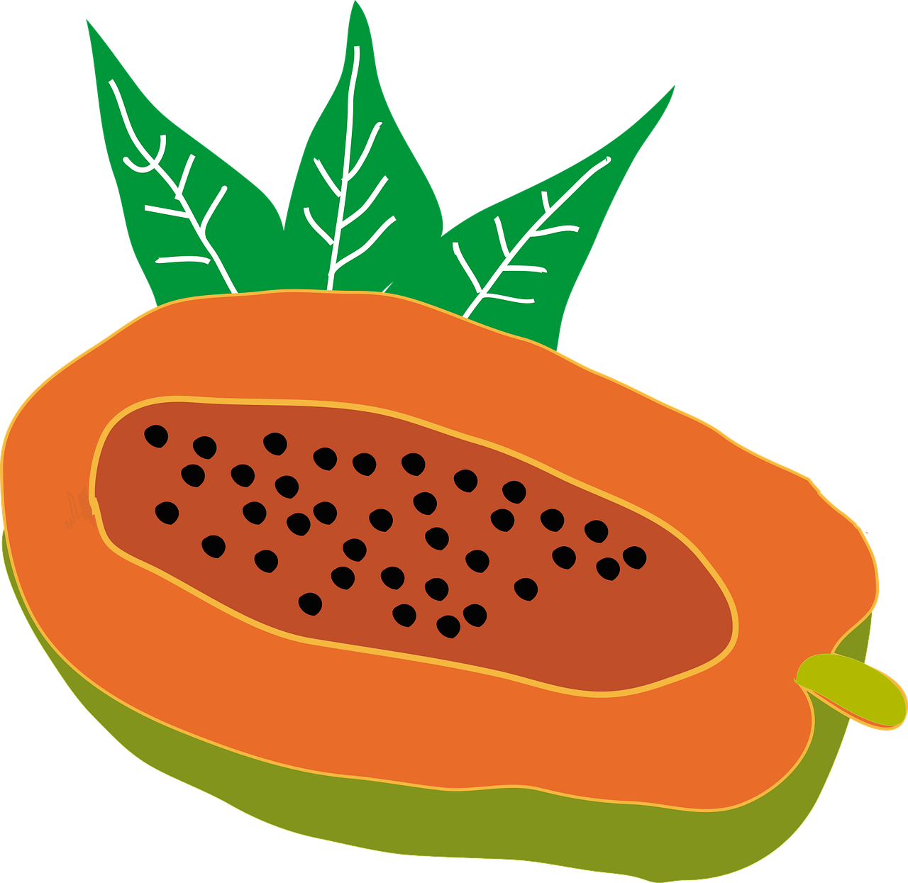 Papaya Fruit PNG Image