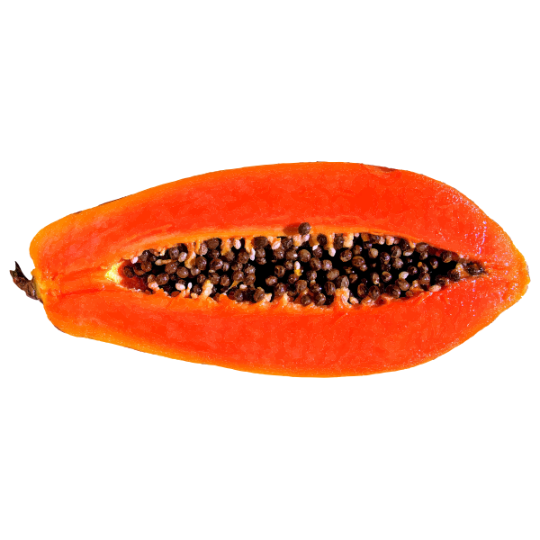 Papaya Fruit PNG Images