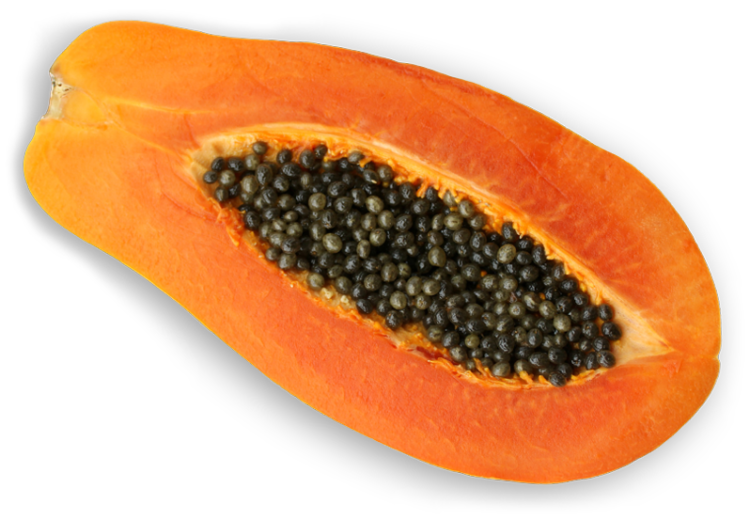 Papaya Fruit Png ภาพถ่าย