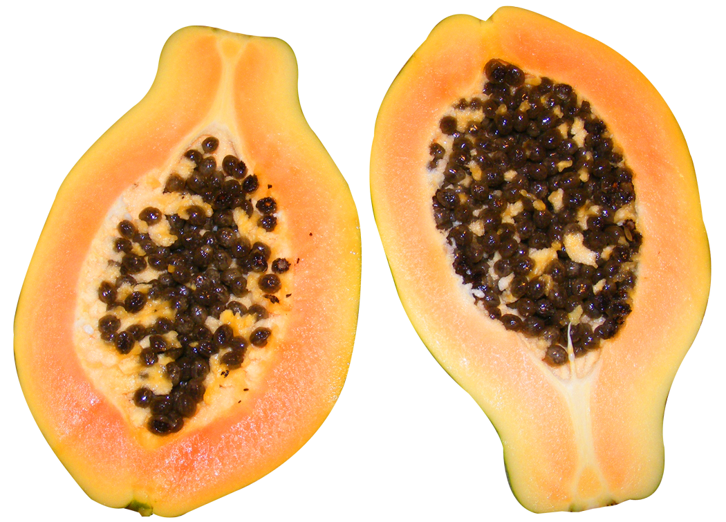 Papaya Fruit Transparent