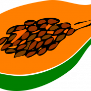 Papaya PNG Image File