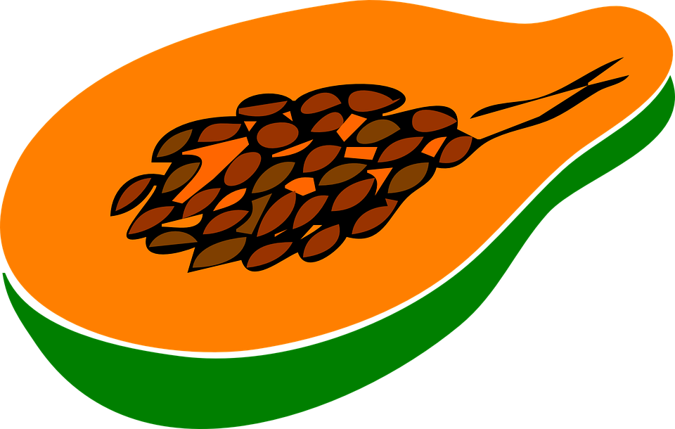 Papaya PNG Image File