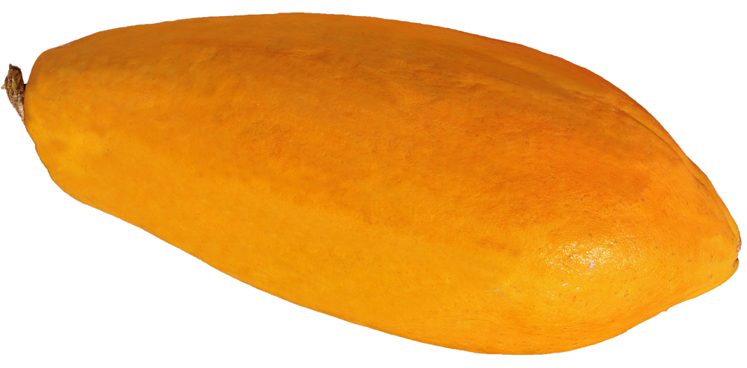Papaya PNG Pic