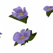 Petunia PNG Cutout