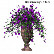 Petunia PNG Picture