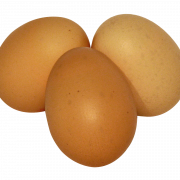 Pngegg png immagine hd
