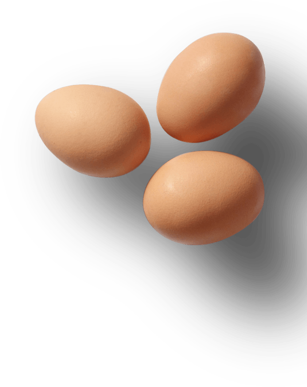 Pngegg PNG Image