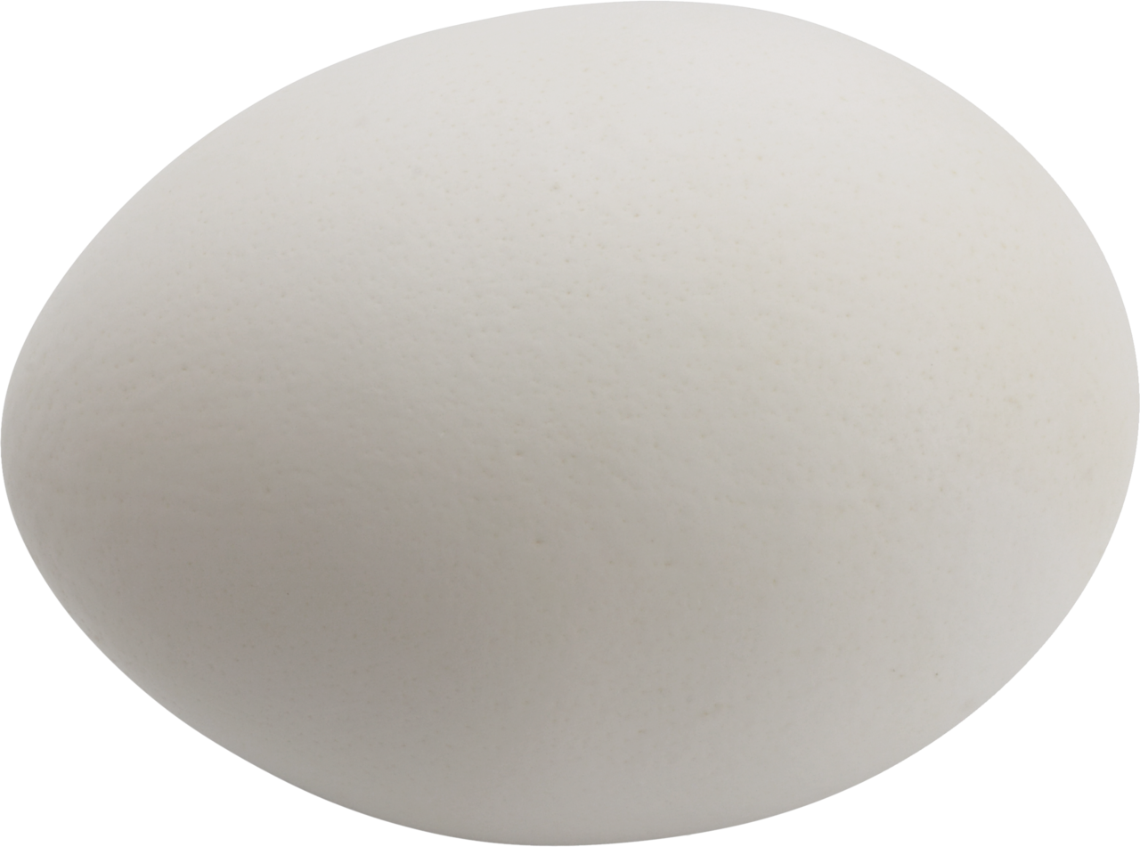 Pngegg PNG Transparent Images - PNG All