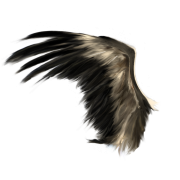 Clipart pngwing png