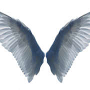 Pngwing PNG Picture