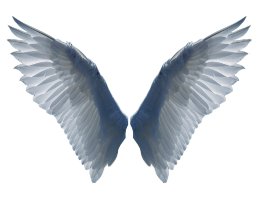 Pngwing PNG Picture