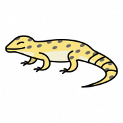 Animal reptile PNG