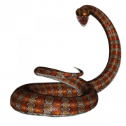 Reptilien PNG PIC