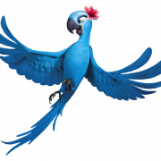 Rio Bird PNG Image