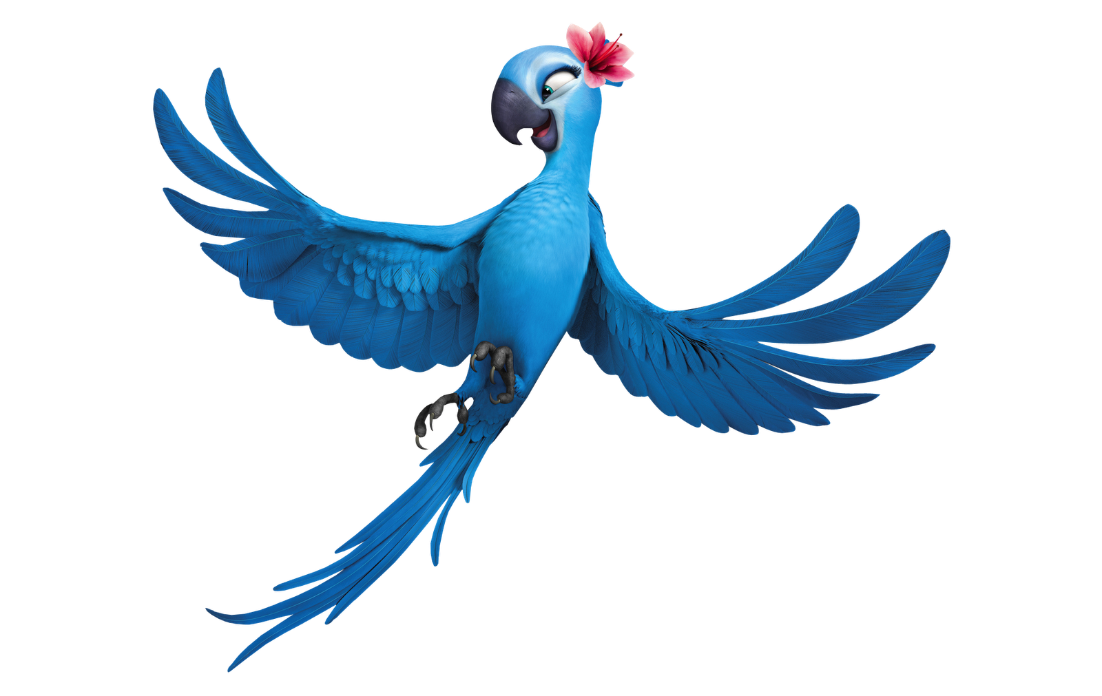 Rio Bird PNG Image