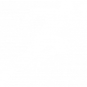 Running PNG Pic