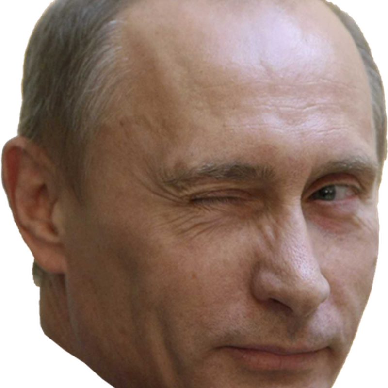 Presiden Rusia Vladimir Putin Png Cutout