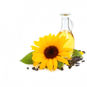 Sunflower Oil PNG Background