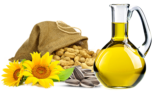 Sunflower Oil PNG Image File