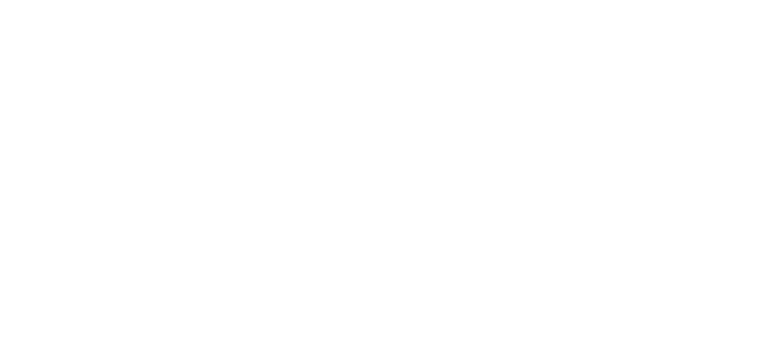 Suzuki PNG Pic