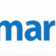 Fichier walmart logo PNG