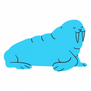 Walrus dier PNG