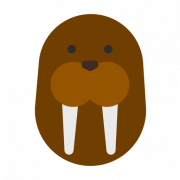 Walrus Animal PNG Images HD