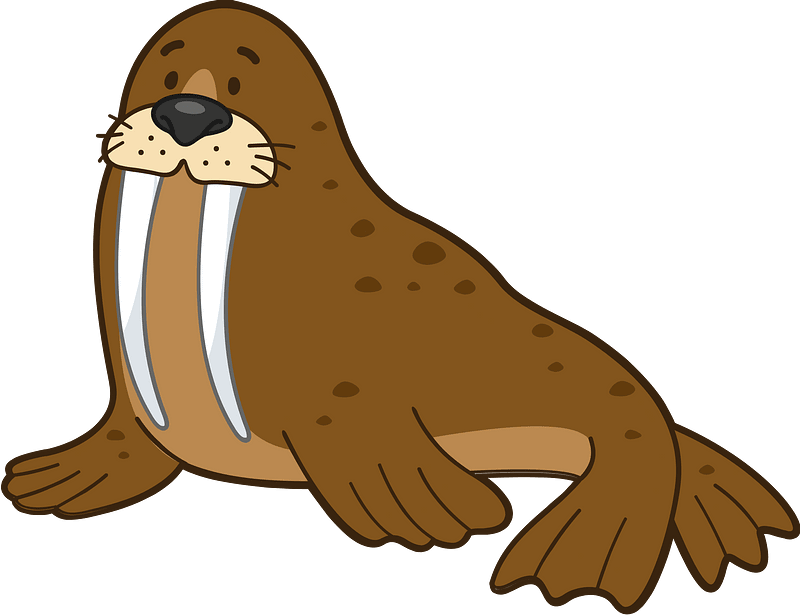 Walrus Animal PNG Photos