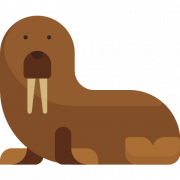 Walrus Animal Png Picture