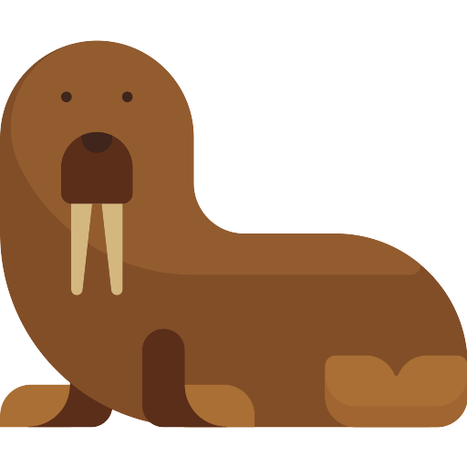 Walrus Animal PNG Picture